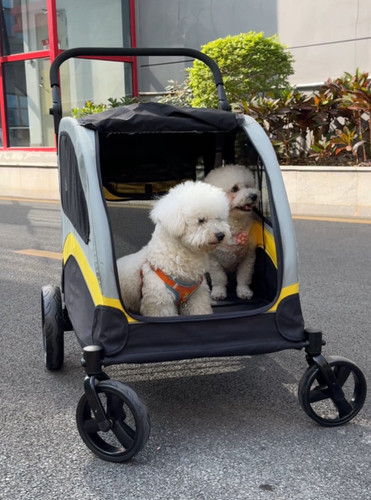 Xxl double seat dog stroller - double,