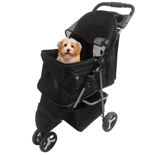Pet dog puppy - cat, travel